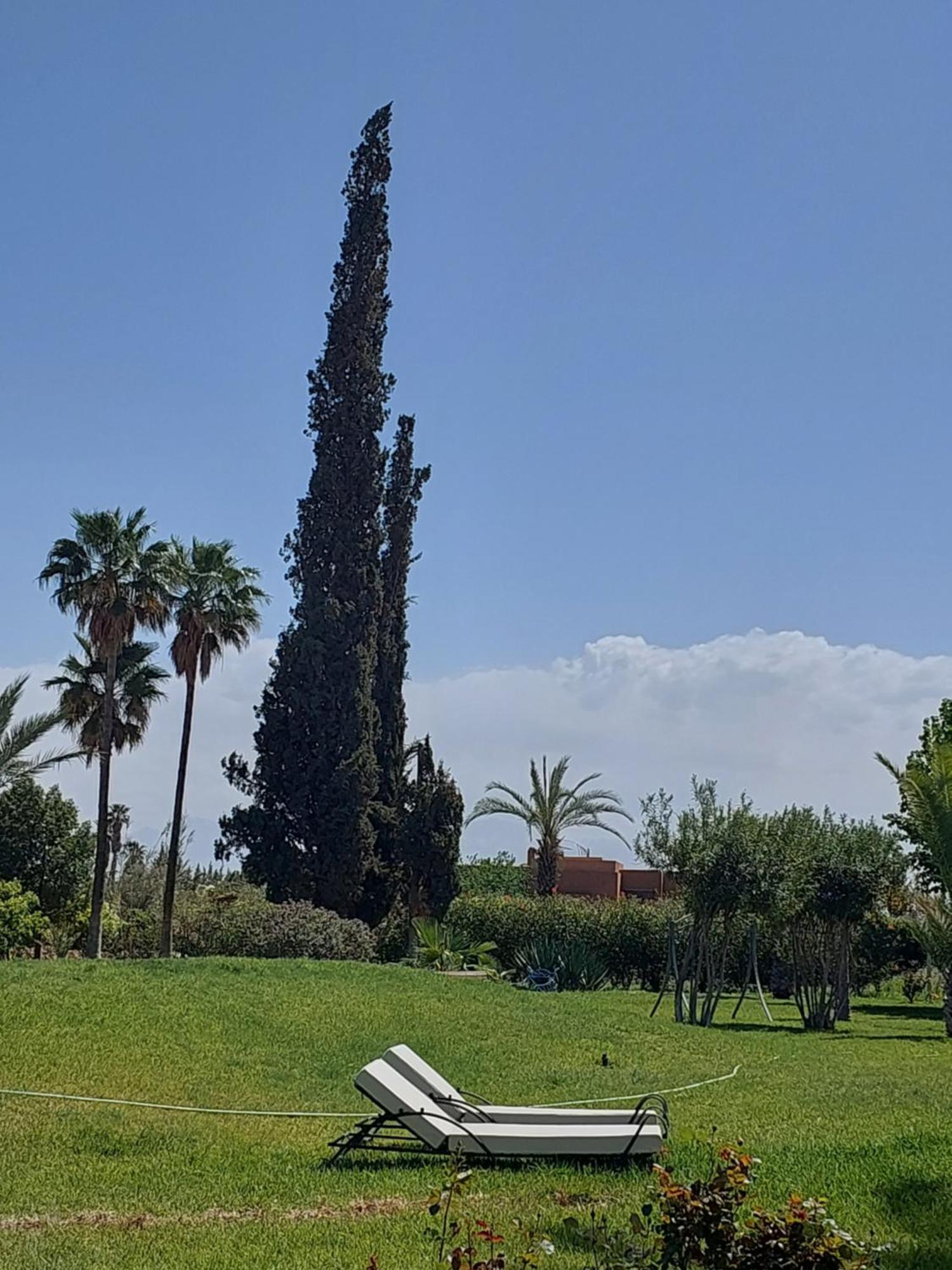 Palais Les Sources De L'Atlas & Spa El Harkat Dış mekan fotoğraf