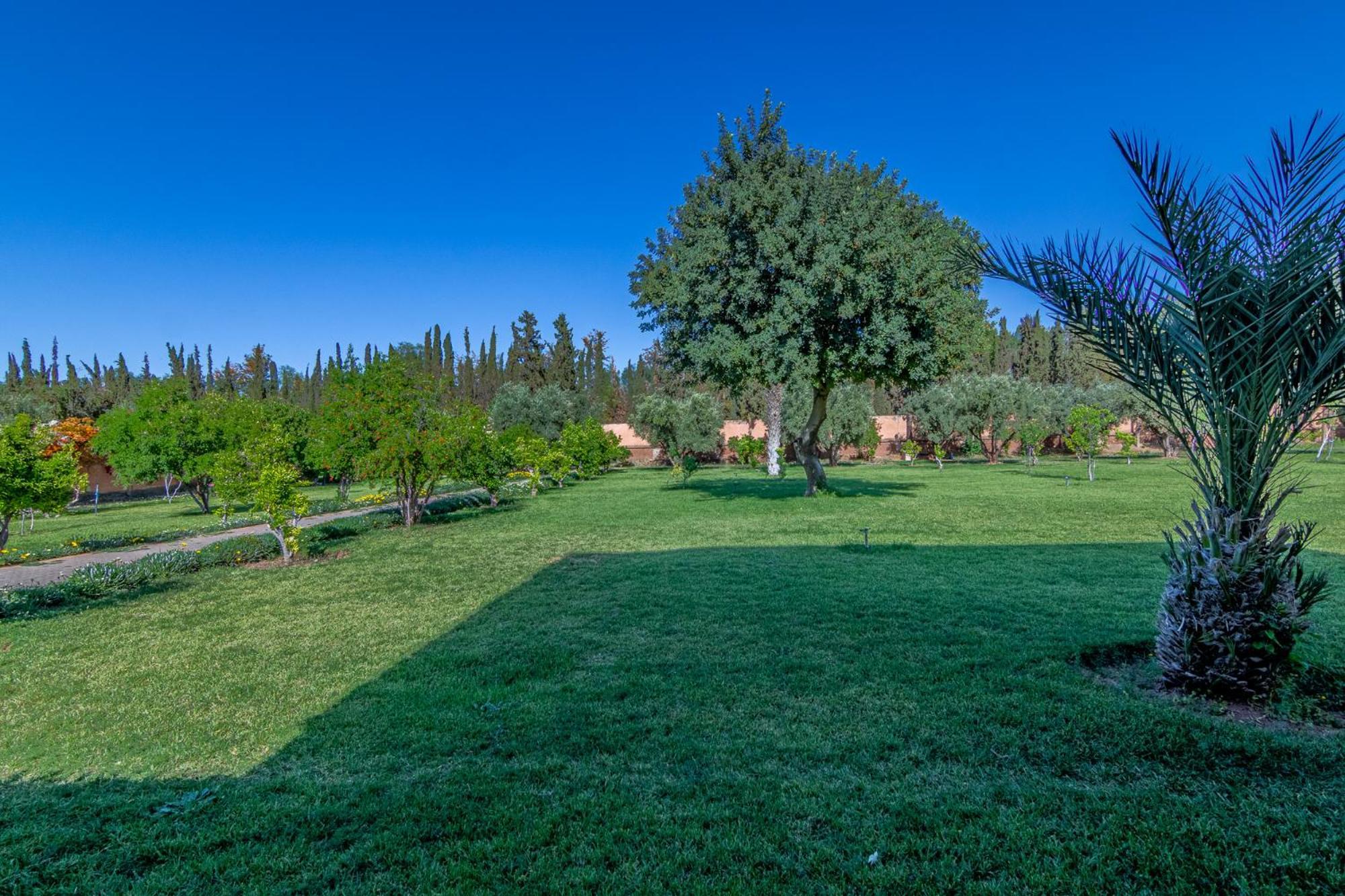 Palais Les Sources De L'Atlas & Spa El Harkat Dış mekan fotoğraf